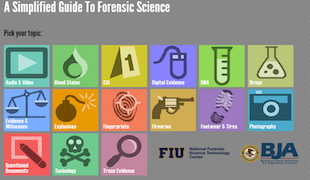 Una Guía simplificada para la ciencia forense